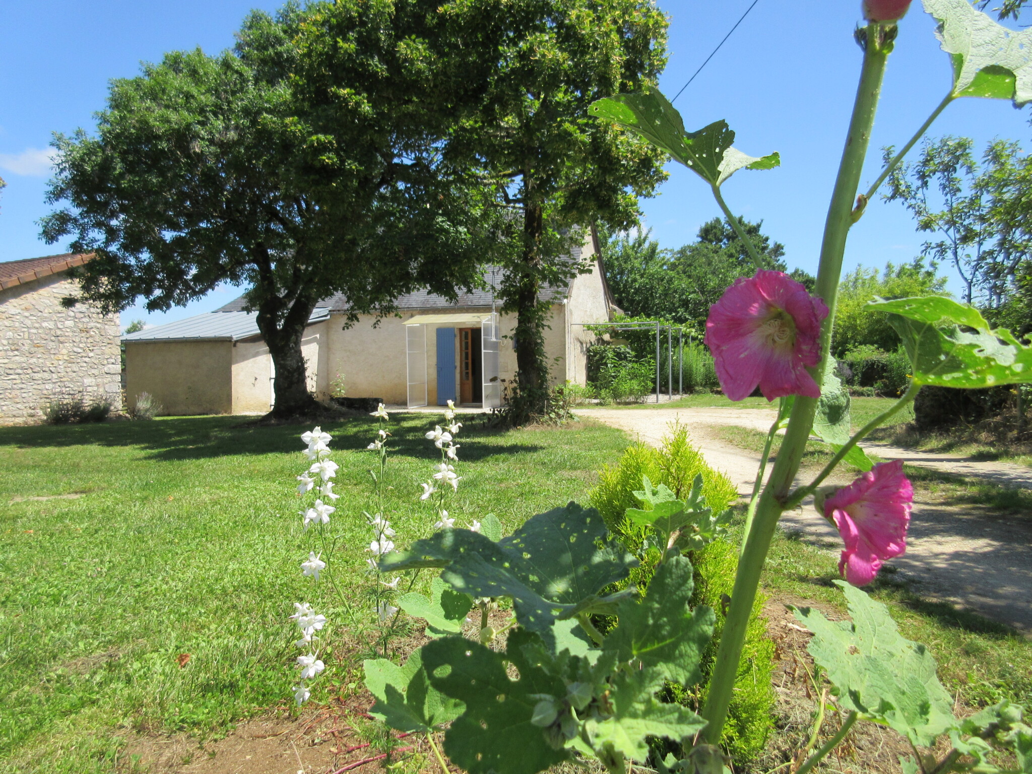 Gîte Les Sapins 6 pers. Piscine 12x6m à Thenon